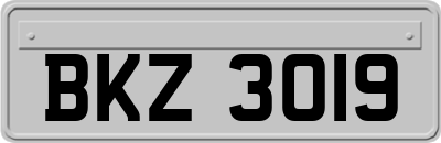 BKZ3019