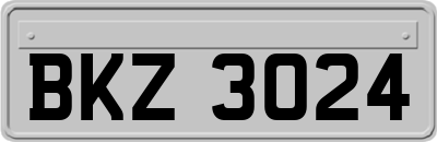 BKZ3024