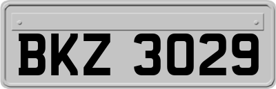 BKZ3029