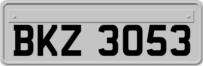 BKZ3053