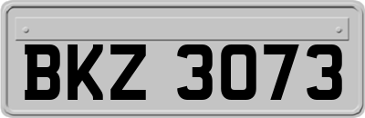 BKZ3073
