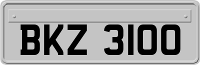 BKZ3100