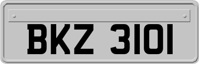 BKZ3101