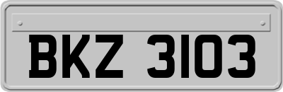 BKZ3103