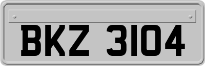 BKZ3104