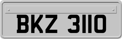 BKZ3110