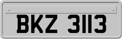 BKZ3113
