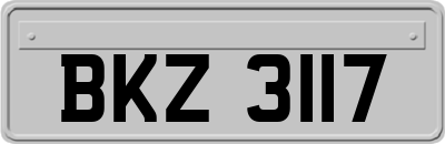BKZ3117