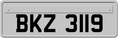 BKZ3119