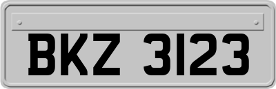 BKZ3123
