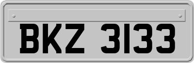 BKZ3133