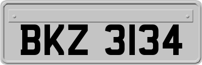 BKZ3134