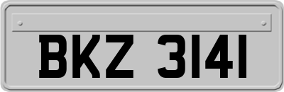 BKZ3141