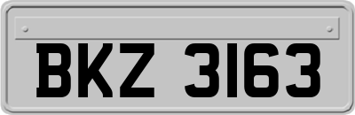 BKZ3163