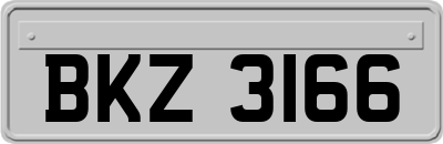 BKZ3166
