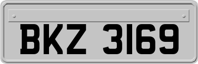 BKZ3169