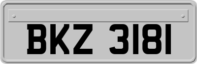 BKZ3181