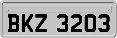 BKZ3203