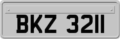 BKZ3211