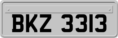 BKZ3313