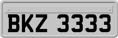 BKZ3333