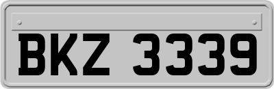 BKZ3339