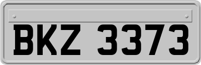 BKZ3373