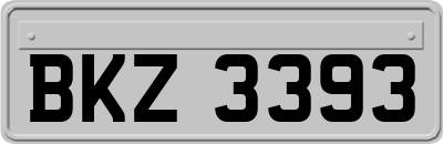 BKZ3393