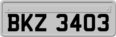 BKZ3403