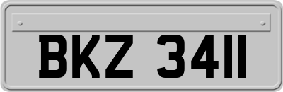 BKZ3411