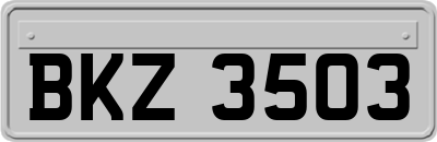 BKZ3503