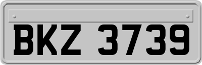 BKZ3739