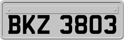 BKZ3803