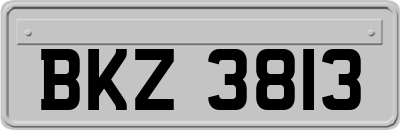 BKZ3813