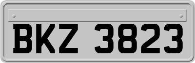 BKZ3823