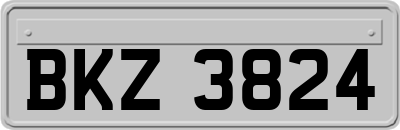 BKZ3824