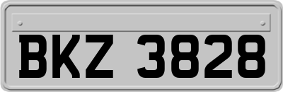 BKZ3828