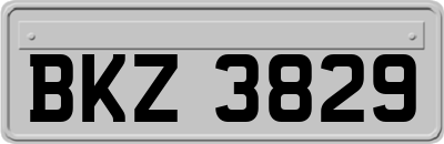 BKZ3829