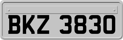 BKZ3830