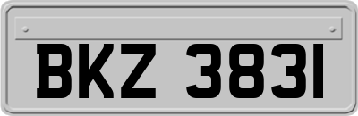 BKZ3831