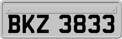 BKZ3833