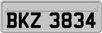 BKZ3834
