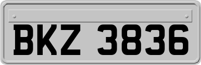 BKZ3836