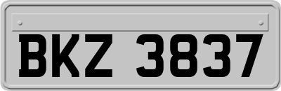 BKZ3837