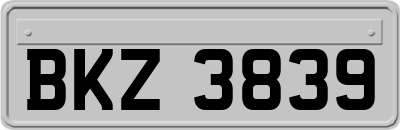 BKZ3839