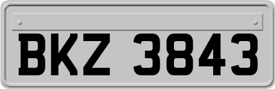 BKZ3843