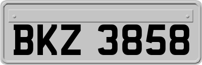 BKZ3858