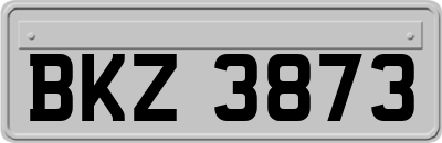 BKZ3873