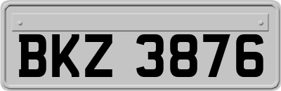 BKZ3876
