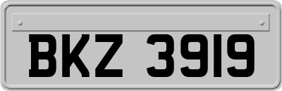 BKZ3919